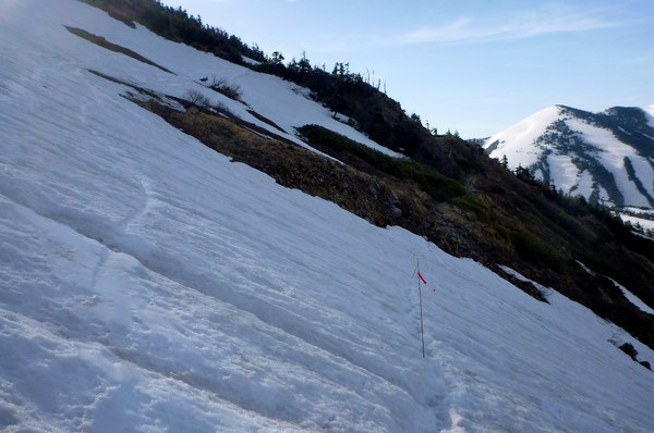 新緑と残雪　春の白山へ