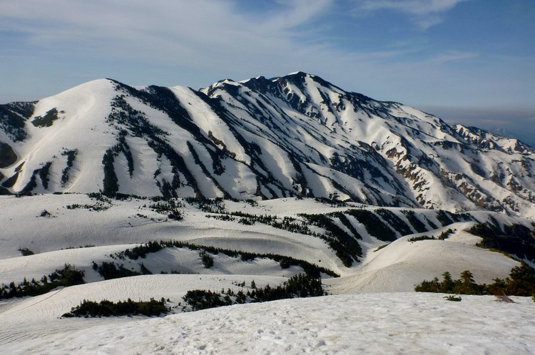 新緑と残雪　春の白山へ