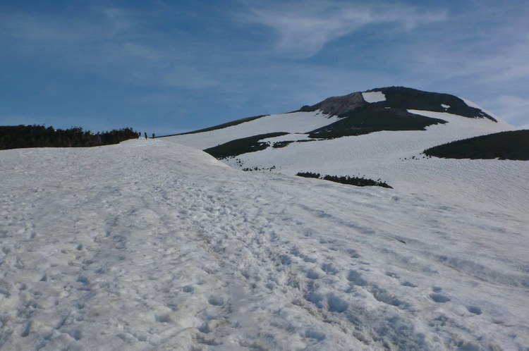 新緑と残雪　春の白山へ