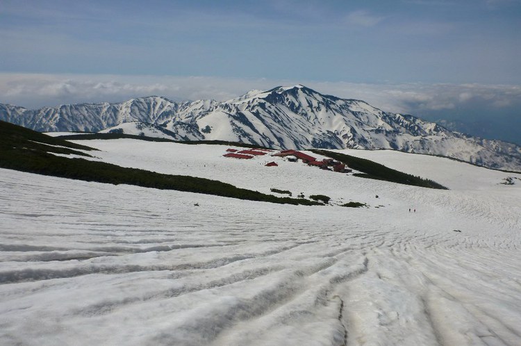 新緑と残雪　春の白山へ