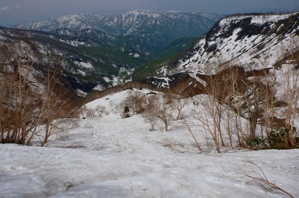 新緑と残雪　春の白山へ