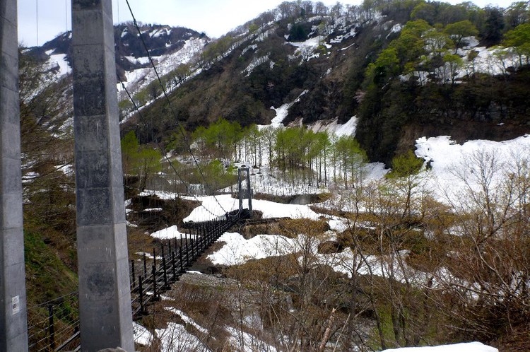 新緑と残雪　春の白山へ