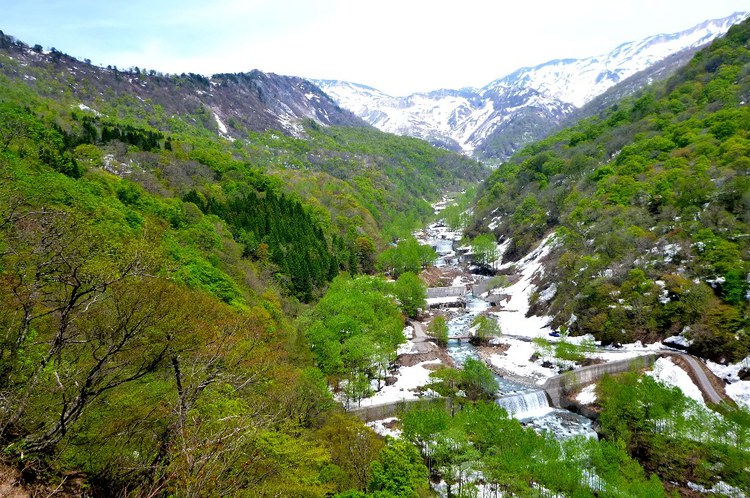新緑と残雪　春の白山へ