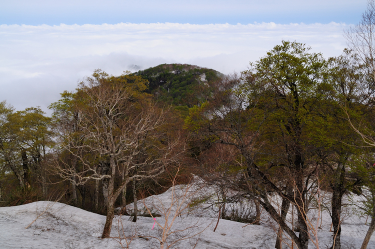 立山を展望出来る鍬崎山　雲海と新緑と残雪に魅了