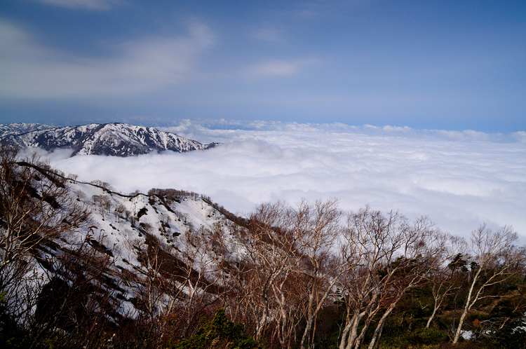 立山を展望出来る鍬崎山　雲海と新緑と残雪に魅了