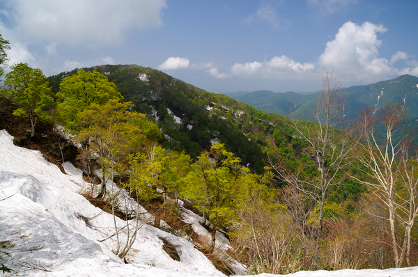 立山を展望出来る鍬崎山　雲海と新緑と残雪に魅了