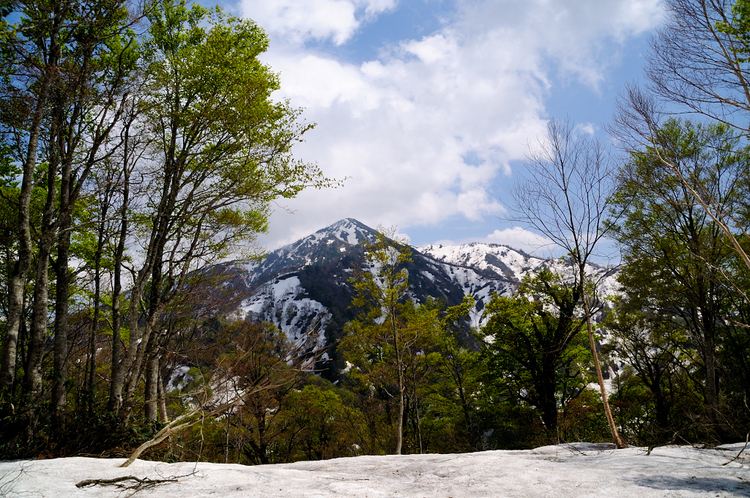 立山を展望出来る鍬崎山　雲海と新緑と残雪に魅了