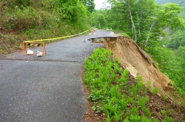 雨上がりに美しい「雨飾山」へ