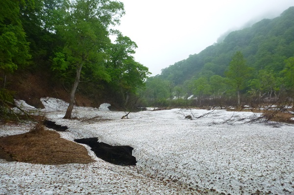雨上がりに美しい「雨飾山」へ