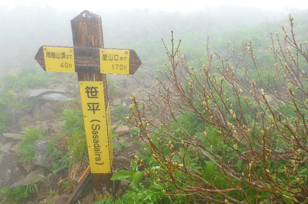 雨上がりに美しい「雨飾山」へ