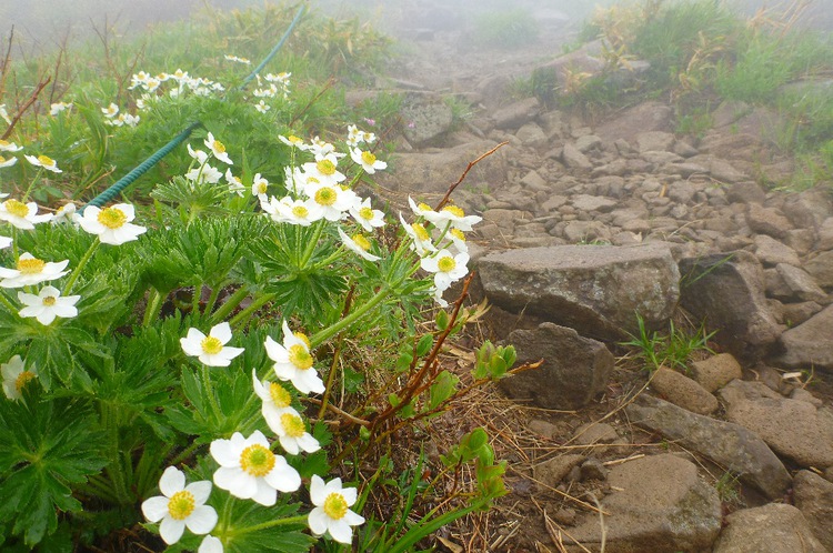 雨上がりに美しい「雨飾山」へ