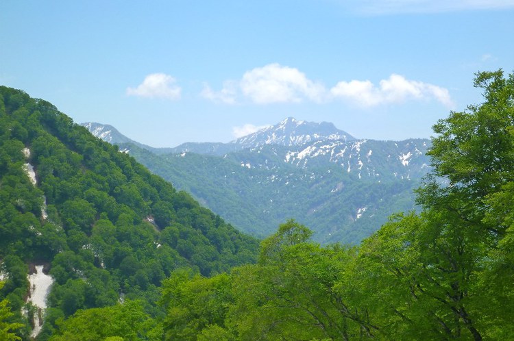 雨上がりに美しい「雨飾山」へ