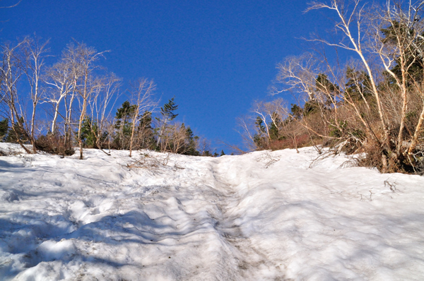 残雪期の槍・穂高の眺望を楽しむ蝶ヶ岳～常念岳ワンディ縦走