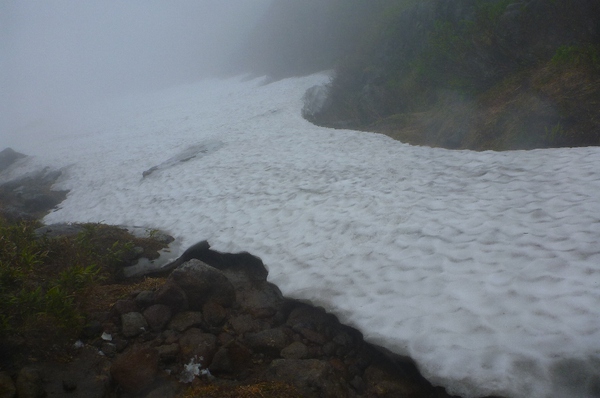 花溢れる白山から別山、そして三ノ峰へテン泊縦走