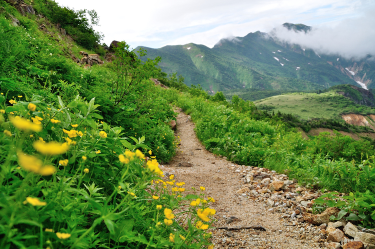 花溢れる白山から別山、そして三ノ峰へテン泊縦走