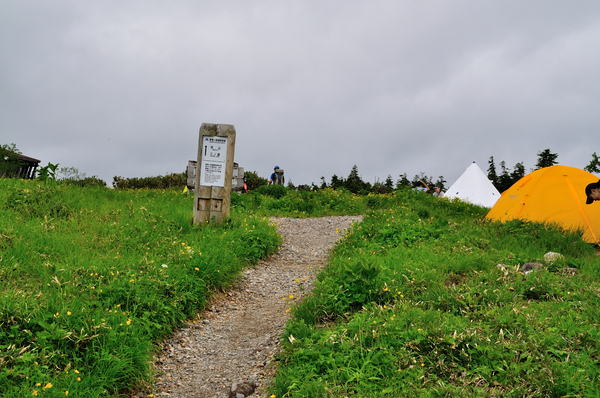 花溢れる白山から別山、そして三ノ峰へテン泊縦走