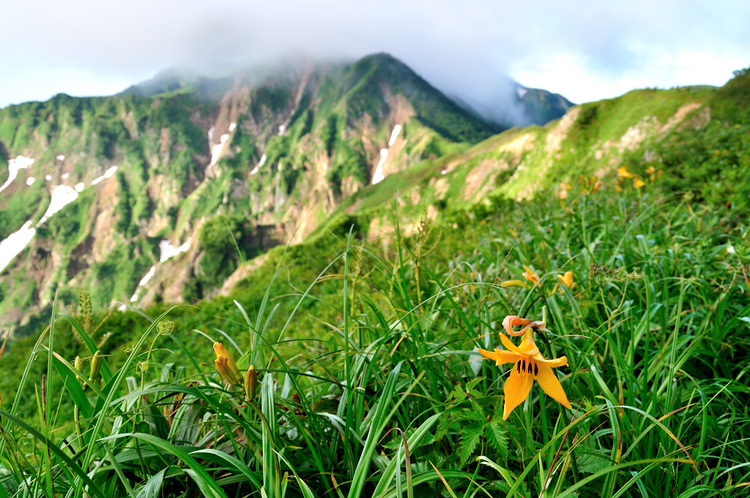 花溢れる白山から別山、そして三ノ峰へテン泊縦走