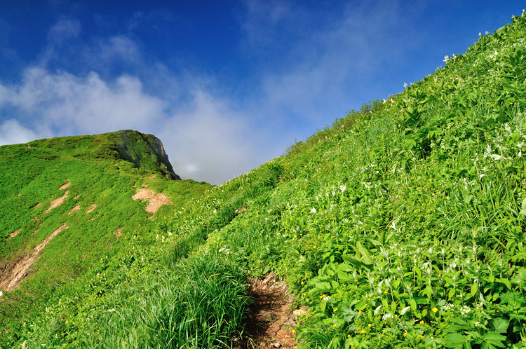 花溢れる白山から別山、そして三ノ峰へテン泊縦走