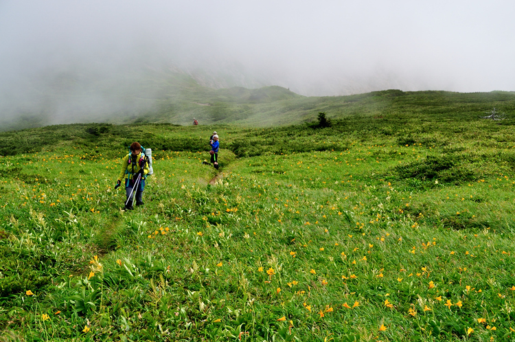 花溢れる白山から別山、そして三ノ峰へテン泊縦走