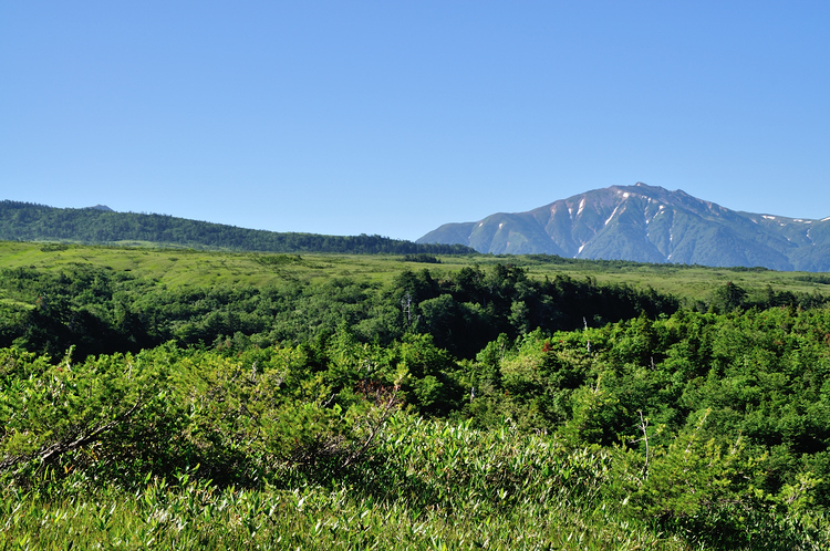 真夏の立山・大日三山縦走、そして花美しい弥陀ヶ原へ