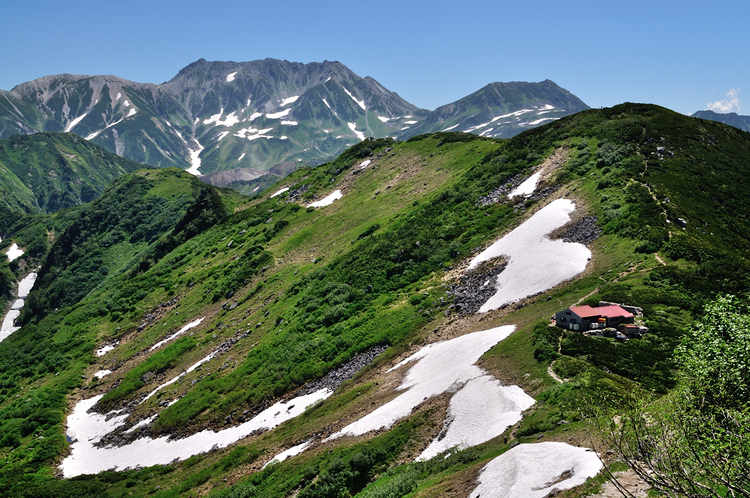 真夏の立山・大日三山縦走、そして花美しい弥陀ヶ原へ