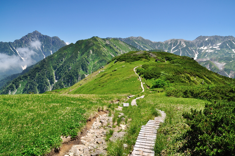真夏の立山・大日三山縦走、そして花美しい弥陀ヶ原へ
