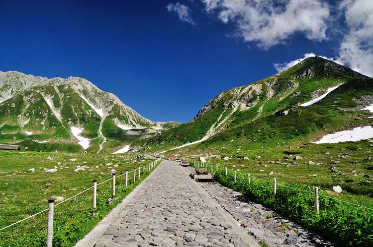 真夏の立山・大日三山縦走、そして花美しい弥陀ヶ原へ