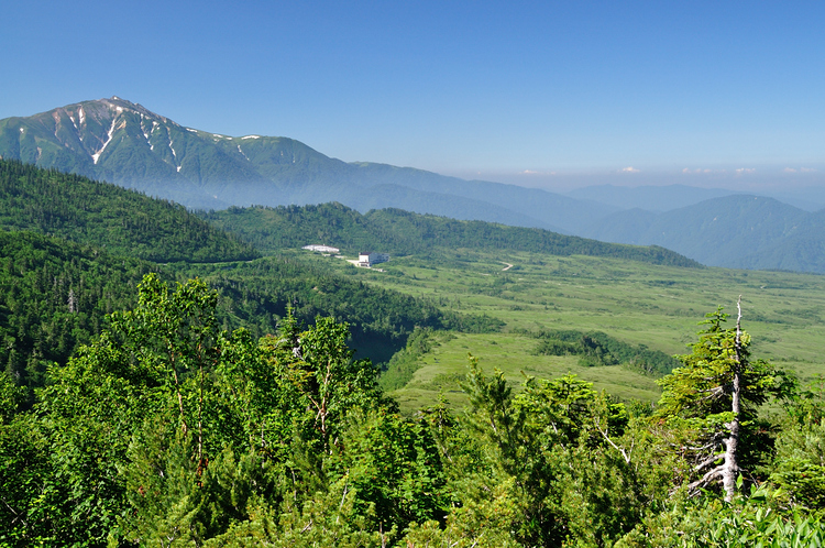 真夏の立山・大日三山縦走、そして花美しい弥陀ヶ原へ