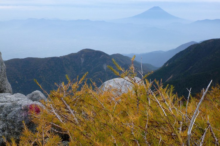 カラマツの黄葉美しい鳳凰三山へ