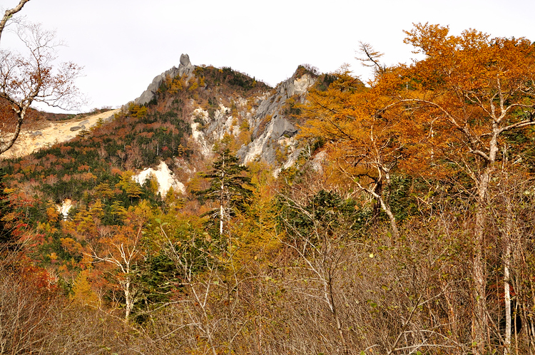 カラマツの黄葉美しい鳳凰三山へ