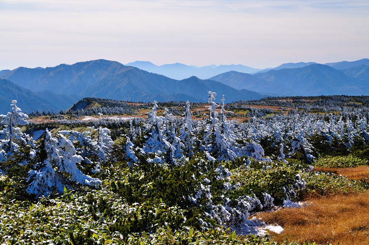 苗場山　山頂湿原は霧氷の装い