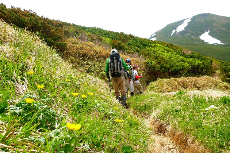 北方ルートより白山へ　楽々新道から釈迦新道は花盛り