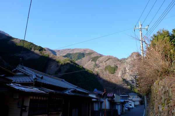 初めての関東の山　奥多摩・鷹ノ巣山へ　東京出張中～