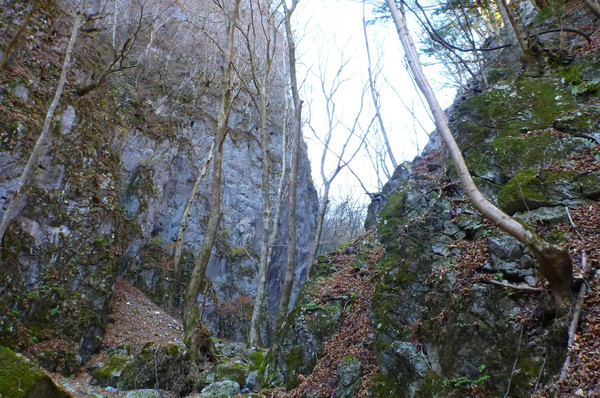 初めての関東の山　奥多摩・鷹ノ巣山へ　東京出張中～