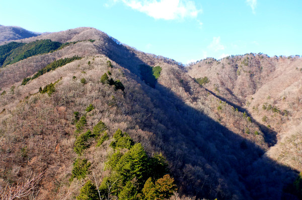 初めての関東の山　奥多摩・鷹ノ巣山へ　東京出張中～
