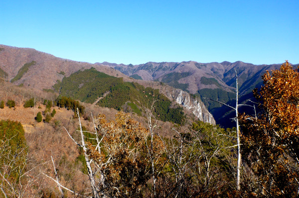 初めての関東の山　奥多摩・鷹ノ巣山へ　東京出張中～