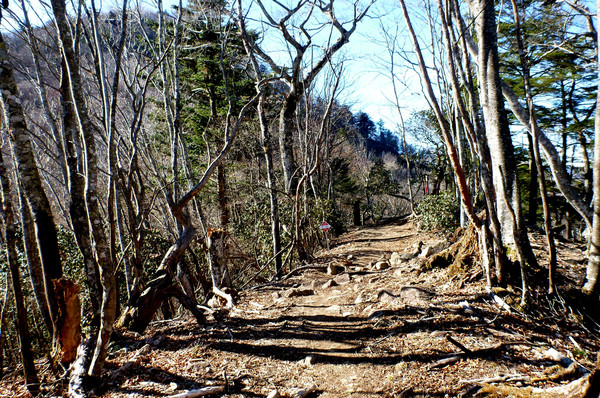 初めての関東の山　奥多摩・鷹ノ巣山へ　東京出張中～
