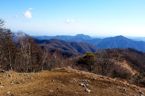 初めての関東の山　奥多摩・鷹ノ巣山へ　東京出張中～