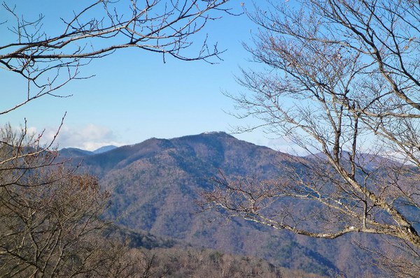 初めての関東の山　奥多摩・鷹ノ巣山へ　東京出張中～