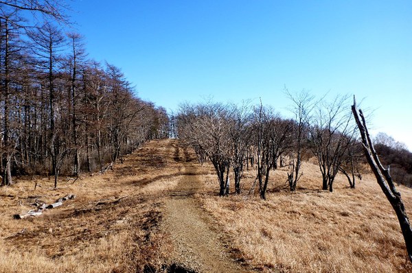 初めての関東の山　奥多摩・鷹ノ巣山へ　東京出張中～