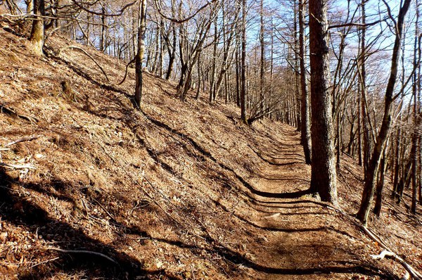 初めての関東の山　奥多摩・鷹ノ巣山へ　東京出張中～