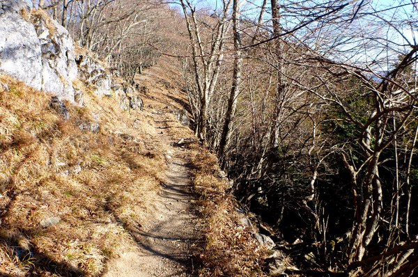 初めての関東の山　奥多摩・鷹ノ巣山へ　東京出張中～