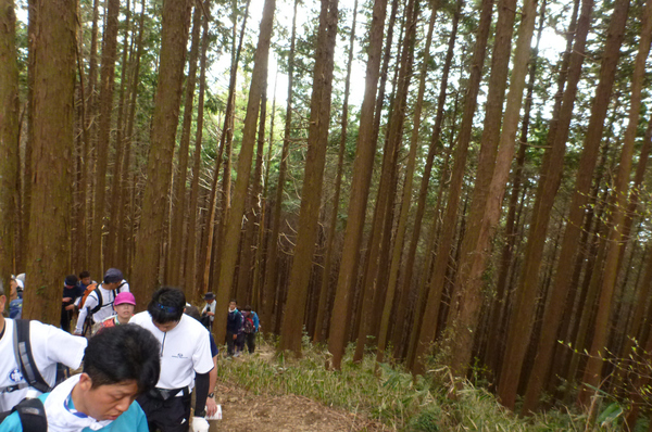 今年も挑戦　「第40回大阪府チャレンジ登山（ダイトレチャレンジ」」