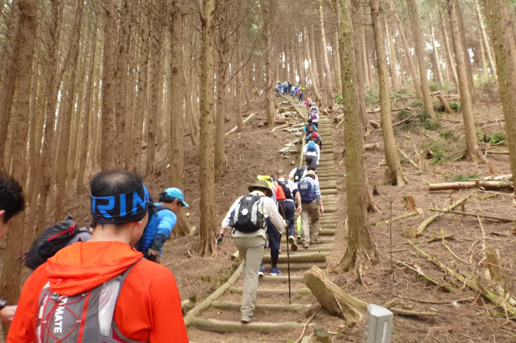 今年も挑戦　「第40回大阪府チャレンジ登山（ダイトレチャレンジ」」
