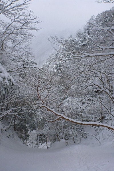 厳冬期・大普賢岳にチャレンジ