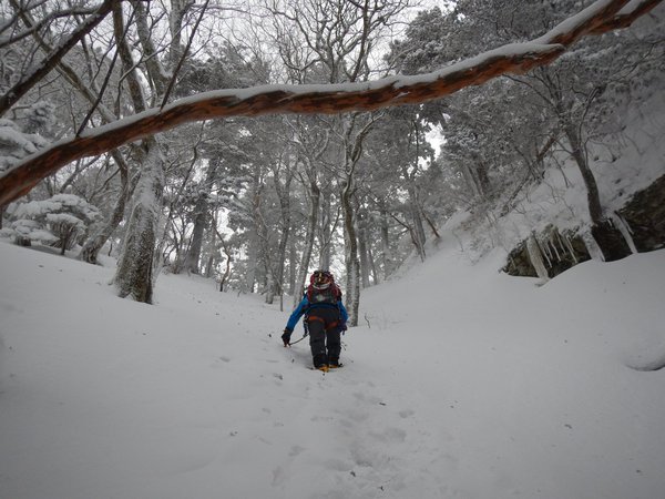 厳冬期・大普賢岳にチャレンジ