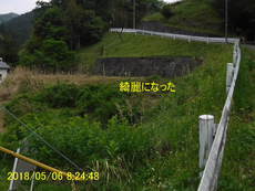 溝掃除、