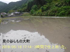 田の準備