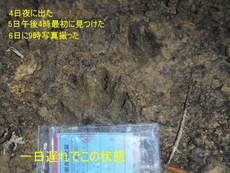 川なのか千種