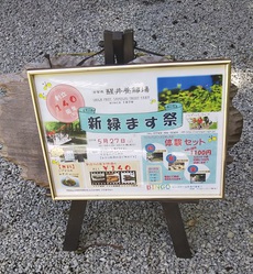 平日醒井釣行